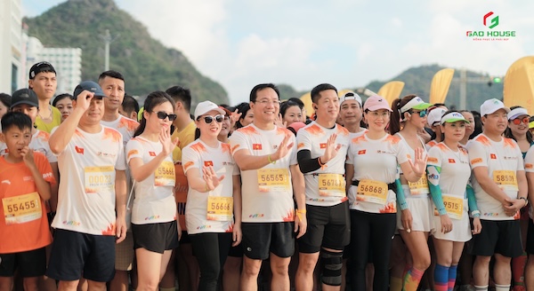 Áo thun đồng phục team building LPBank
