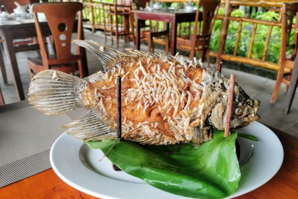 Khu du lịch Cồn Phụng