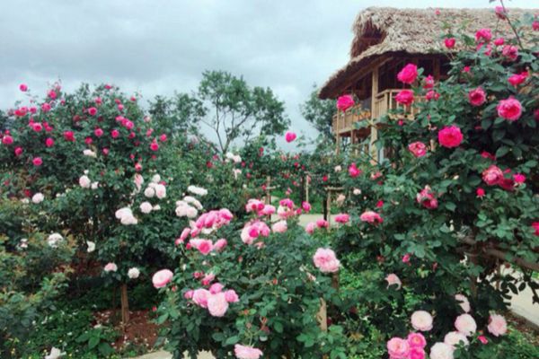 Khu du lịch sinh thái Hoa Sơn Điền Trang