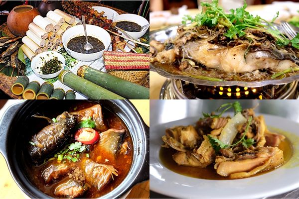 khu du lịch rừng madagui