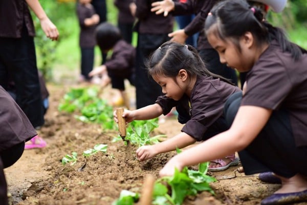 Khu du lịch sinh thái Bản Rõm