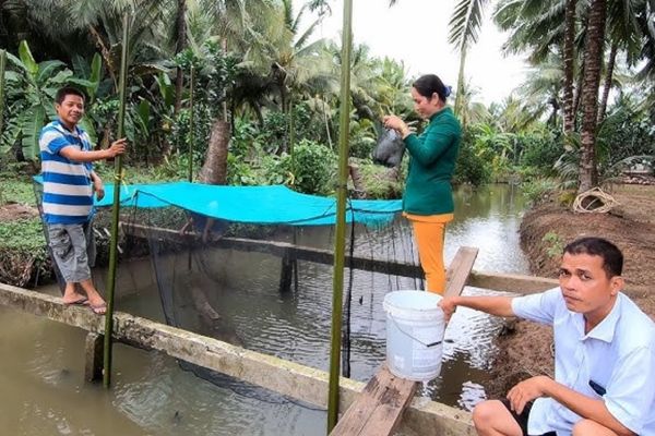 khu du lịch sinh thái lan vương bến tre