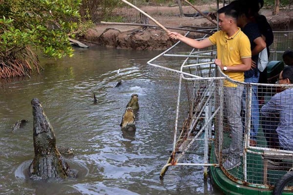 Khu du lịch sinh thái Vàm Sát Cần Giờ