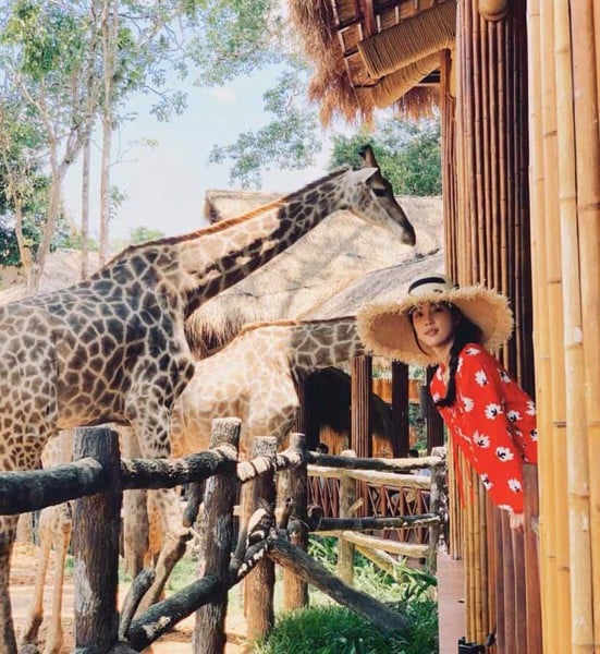 Tham quan vườn Bách thú tại Suối Tiên