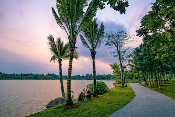 cắm trại hồ thiên nga ecopark