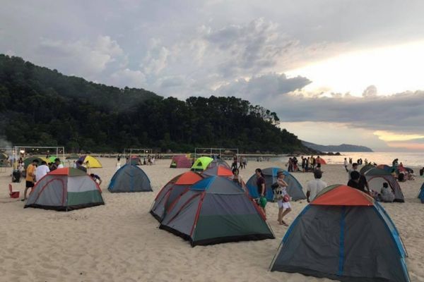 cắm trại hoa bắc