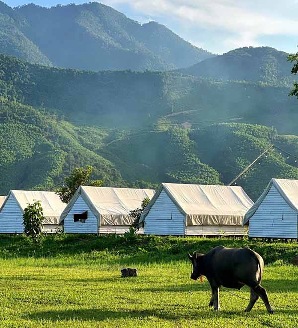 Khu cắm trại Đà Nẵng Yên Retreat