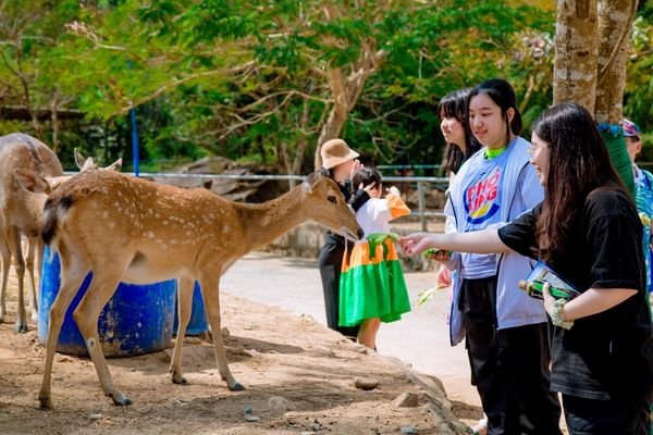 khu du lịch sinh thái hồ mây