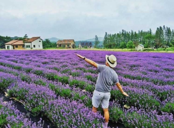 Khu du lịch làng hoa Vạn Thành