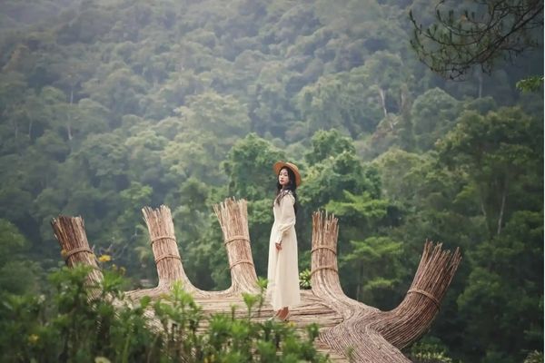 đường đi làng hoa vạn thành