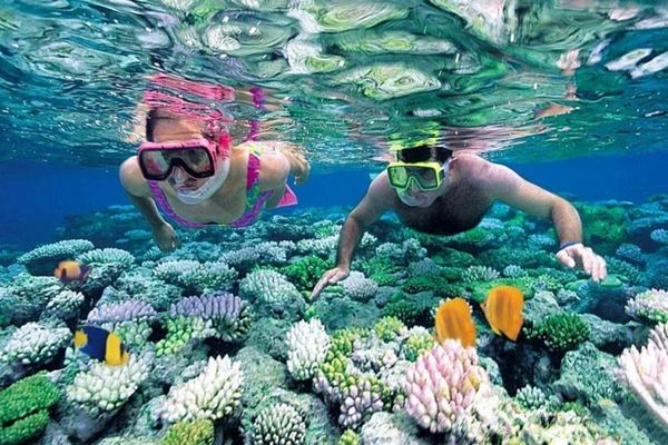 khu du lịch sinh thái sao biển can ranh