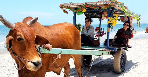 Khu du lịch suối khoáng Bình Châu