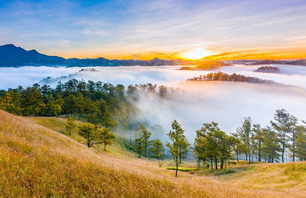 Kinh nghiệm du lịch Thung Lũng Vàng