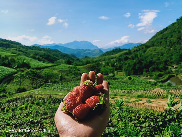 Du lịch bản Tả Phìn Sapa