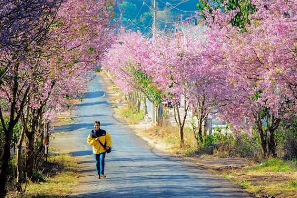 Ngắm nhìn cảnh sắc đẹp tuyệt ở Đà Lạt