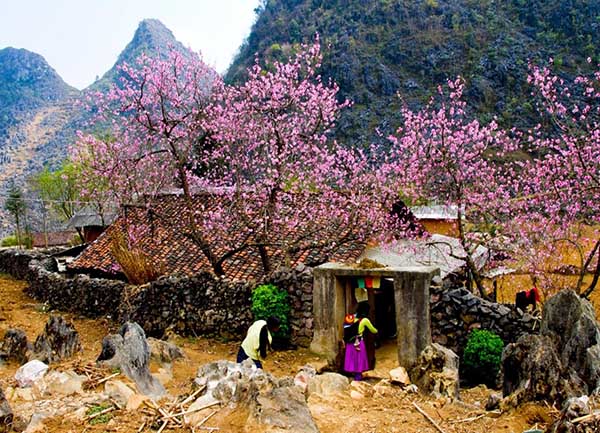 Phố cổ Đồng Văn Hà Giang