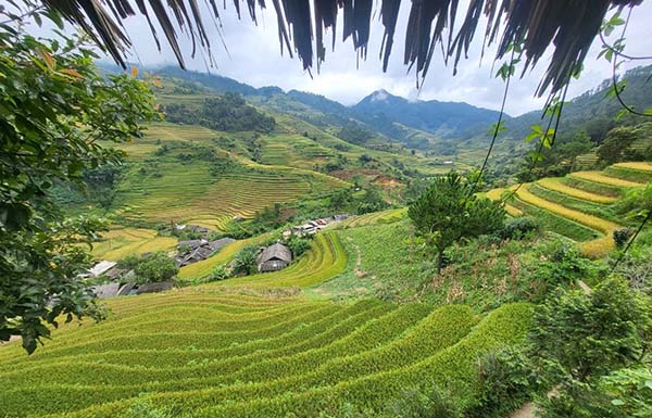 Khu du lịch rừng thông Yên Minh