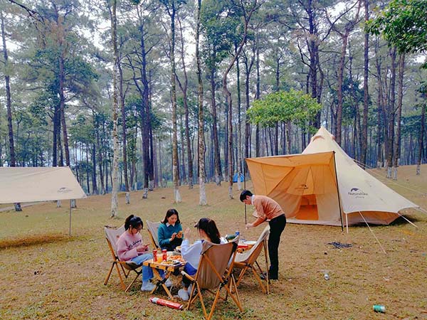 Check-in cắm trại tại rừng Yên Minh