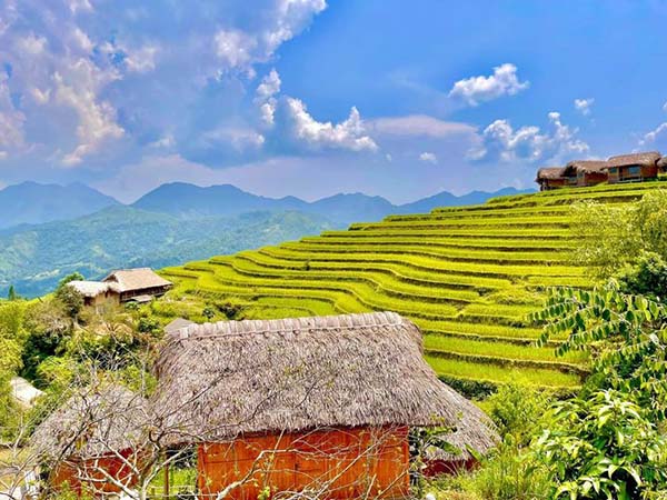 Ruộng bậc thang Hoàng Su Phì đẹp