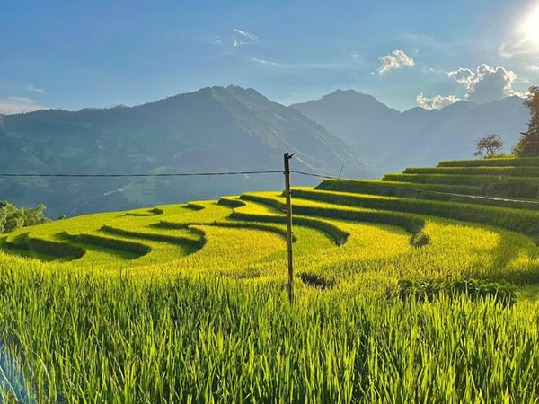 Ruộng bậc thang Hoàng Su Phì