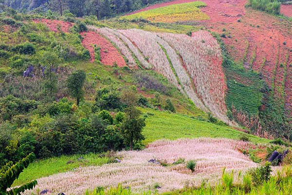 Du lịch thung lũng Sủng Là