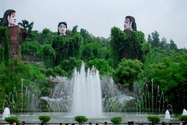 Đồi chè Tân Cương