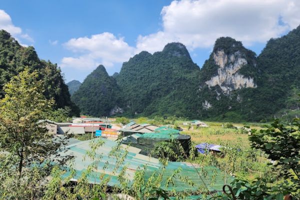 động ngườm ngao