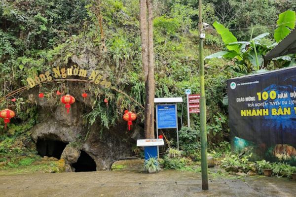 động ngườm ngao giá vé