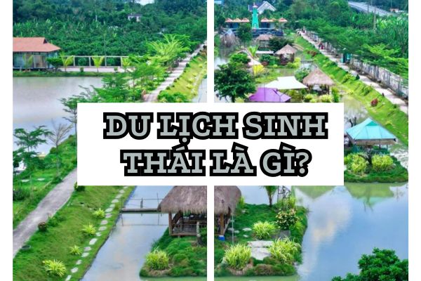 Du lịch sinh thái là gì?