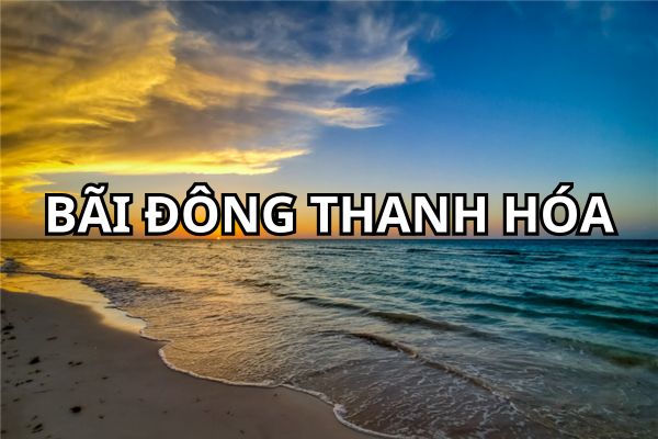 du lịch bãi đông nghi sơn thanh hóa