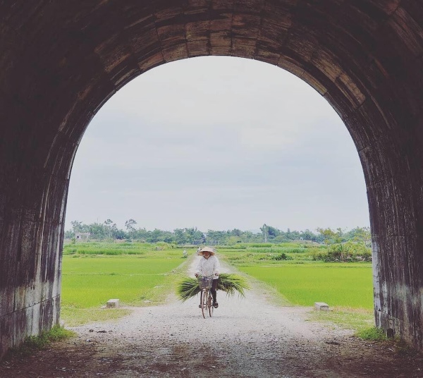 Thành nhà Hồ