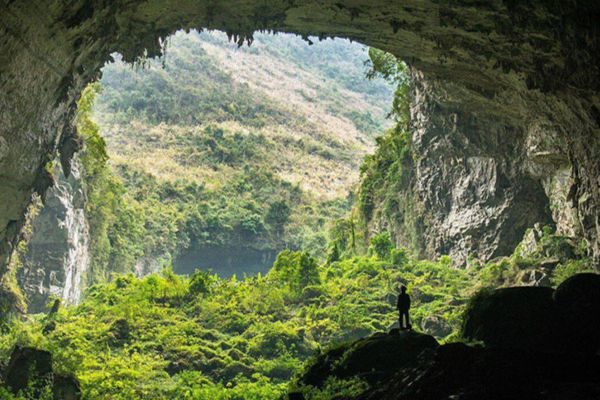 diện tích hang sơn đoòng