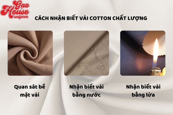 vải cotton thuộc loại nào