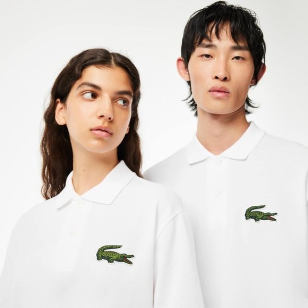 vải lacoste hai chiều