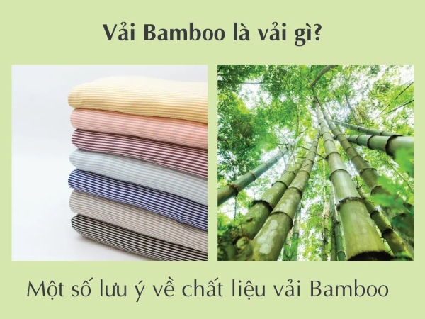 Vải bamboo