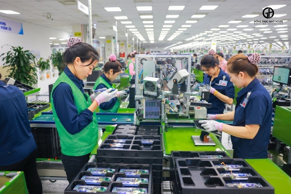 áo gile đồng phục samsung