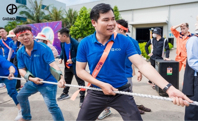 Áo đi biển công ty ,au xanh năng động nổi bật