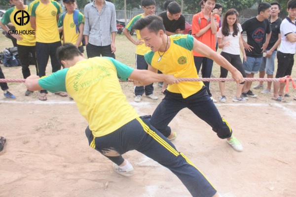 Áo phông thể dục của sinh viên VNUA