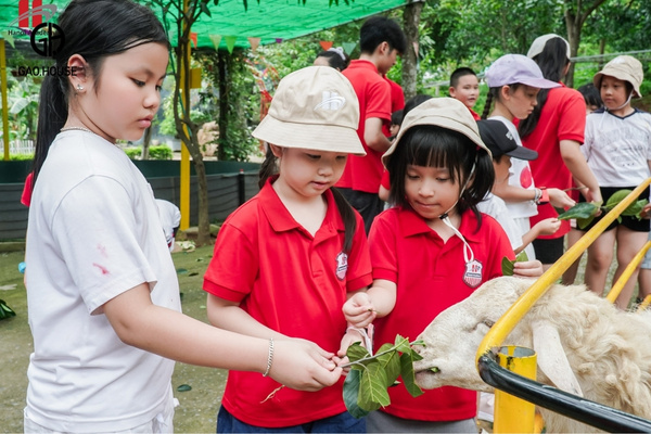 Áo polo đồng phụ học sinh tiểu học màu đỏ