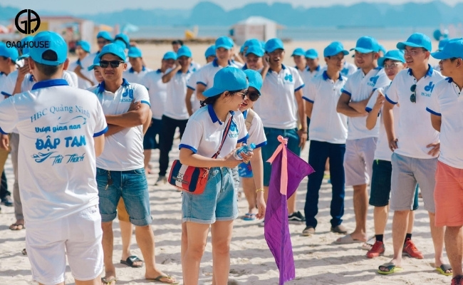 Mẫu áo đi biển công ty kiểu tay reglan thể thao