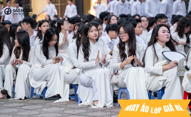 Đồng phục trường THPT Lê Trọng Tấn áo dài